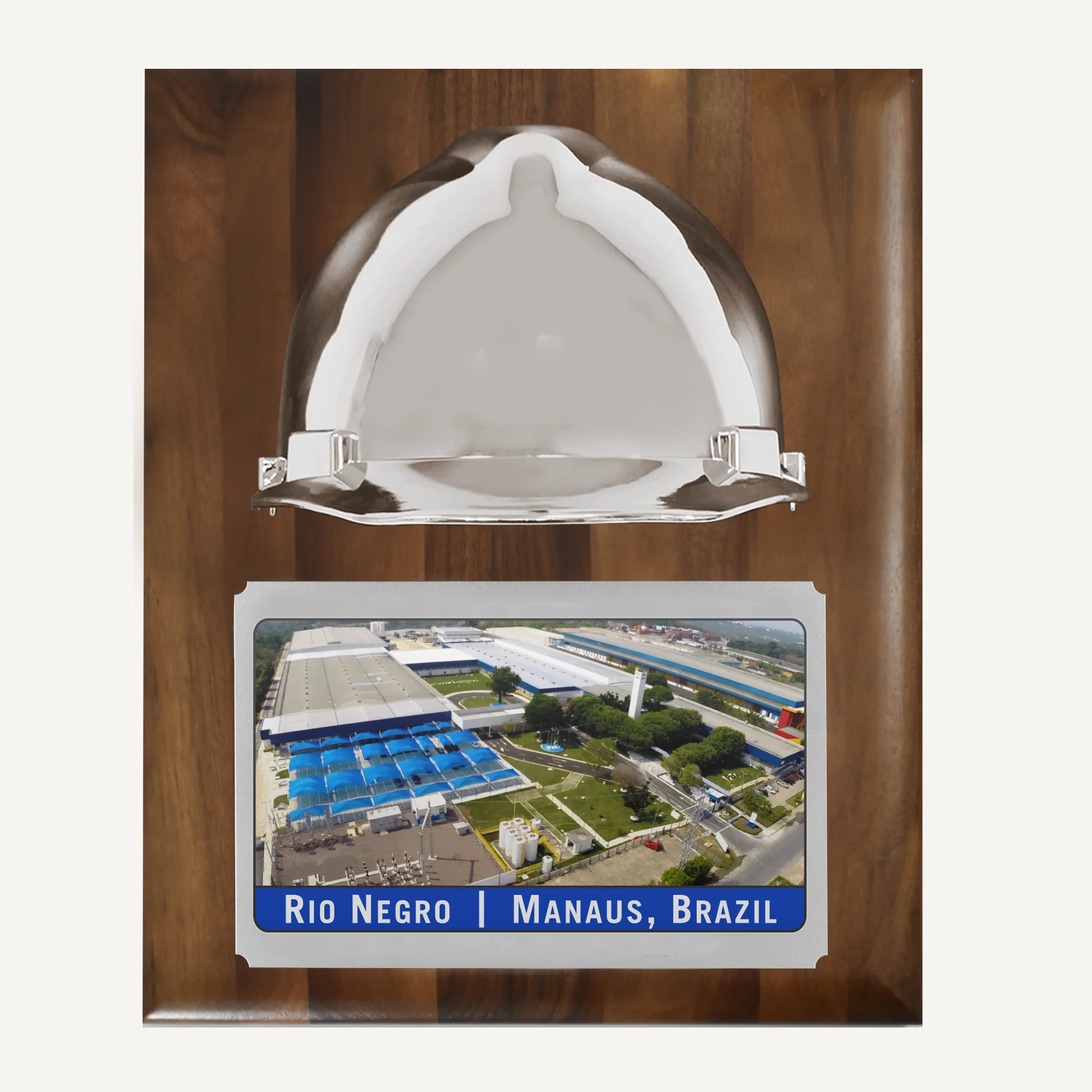 Full Size Walnut Hard Hat Plaque - Image 3