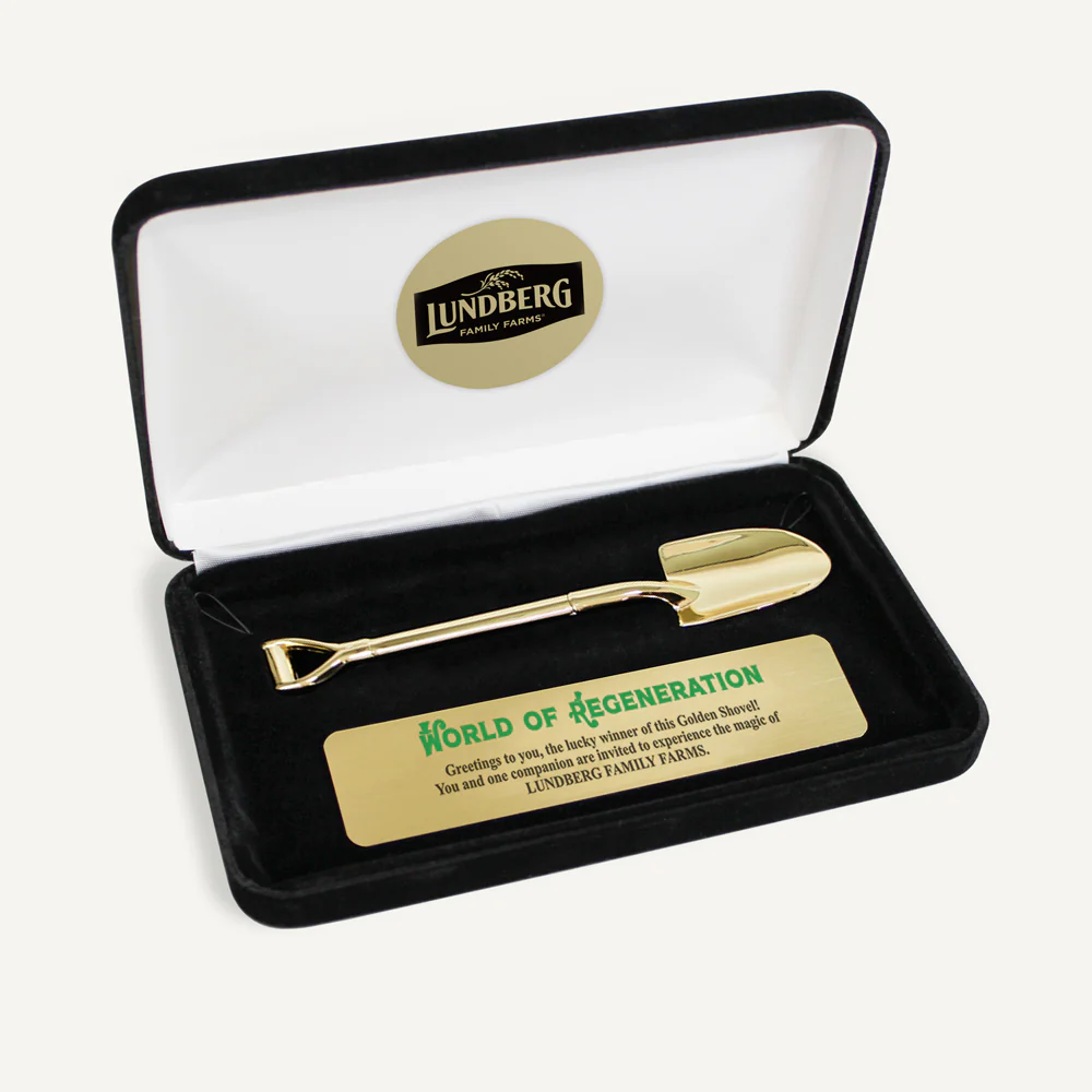 Miniature Ceremonial Shovel with Presentation Case - Image 4